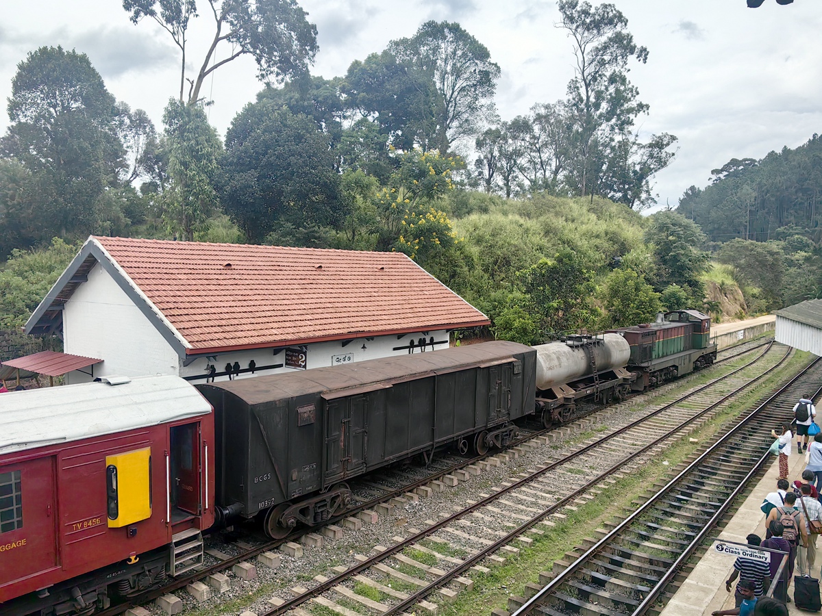 高山茶園小火車